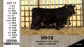 Lot #13 - H910