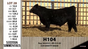Lot #28 - H104