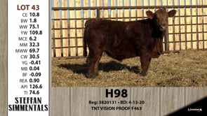 Lot #43 - H98