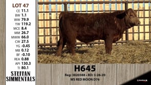 Lot #47 - H645