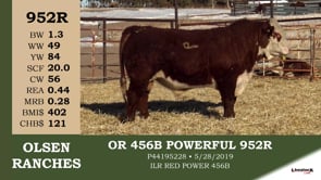 Lot #952R - OR 456B POWERFUL 952R
