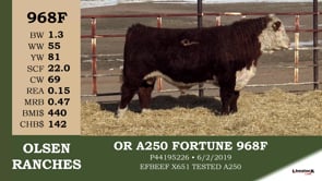 Lot #968F - OR A250 FORTUNE 968F