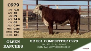 Lot #C979 - OR 501 COMPETITOR C979