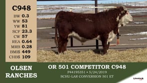 Lot #C948 - OR 501 COMPETITOR C948