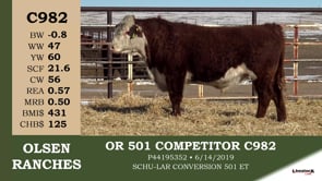 Lot #C982 - OR 501 COMPETITOR C982