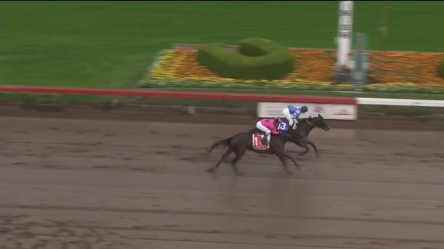 Thousand Words | 2019 Los Alamitos Futurity S.-G2