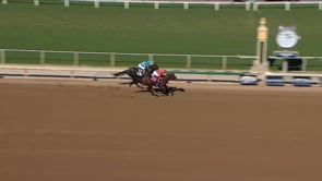 Thousand Words | 2019 Debut MdSpWt Win At Santa Anita