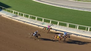 Thousand Words | 2020 Robert B. Lewis S.-G3 at Santa Anita