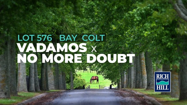 Lot 576