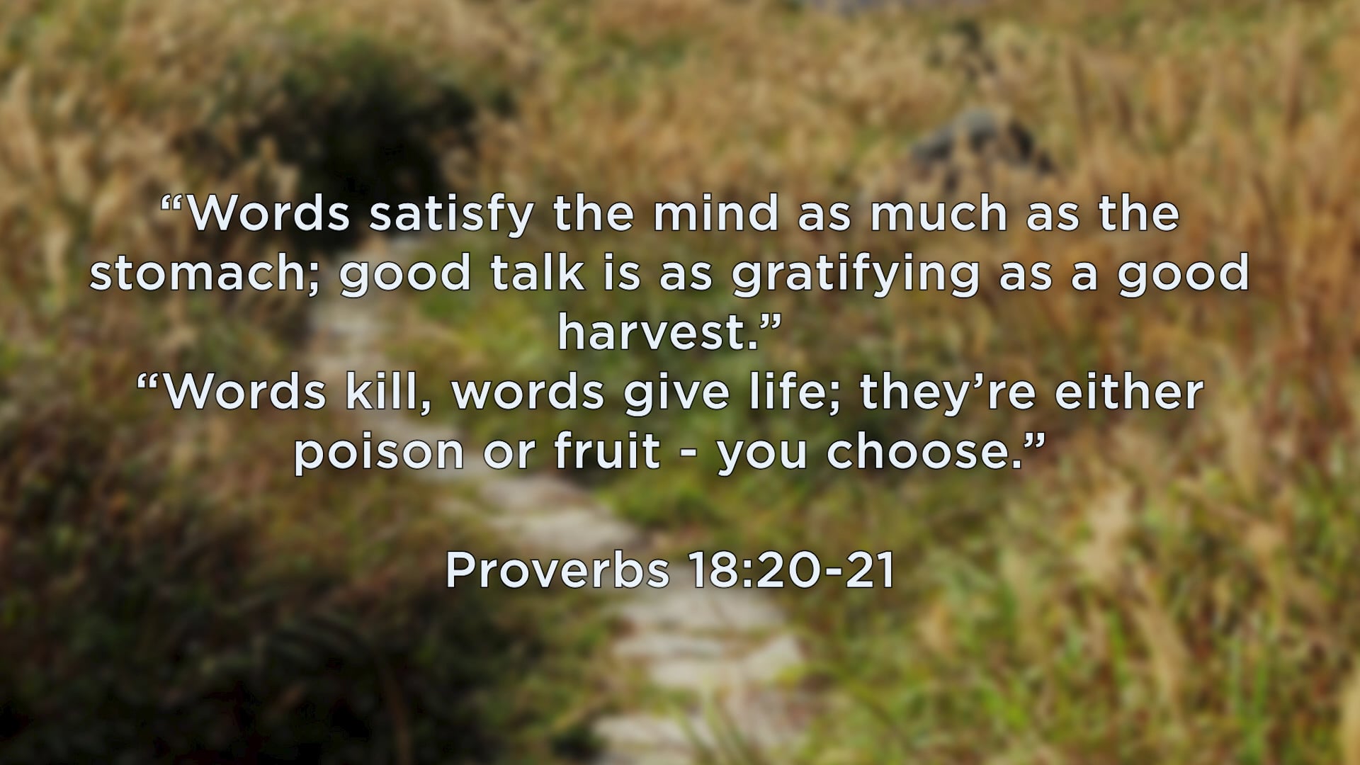 Speaking Peace in a World of Criticism