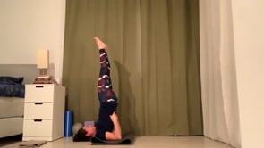 Yoga // Forrest Inspired Flow through Suns: Shoulder Stand // 60 min