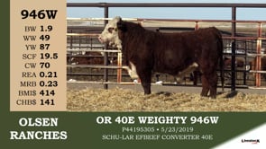 Lot #946W - OR 40E WEIGHTY 946W