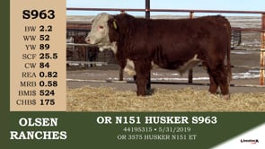 Lot #S963 - OR N151 HUSKER S963