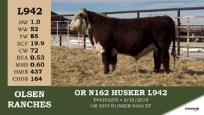 Lot #L942 - OR N162 HUSKER L942
