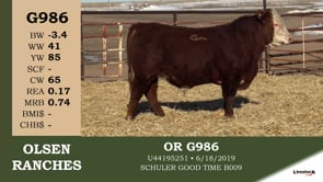 Lot #G986 - OR G986
