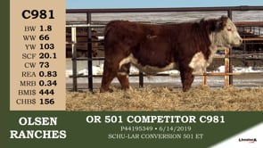 Lot #C981 - OR 501 COMPETITOR C981