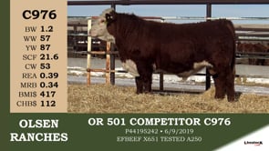 Lot #C976 - OR 501 COMPETITOR C976