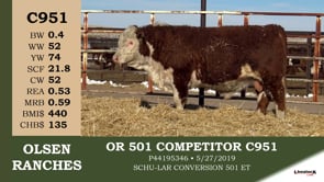 Lot #C951 - OR 501 COMPETITOR C951