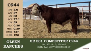 Lot #C944 - OR 501 COMPETITOR C944