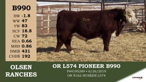 Lot #B990 - OR L574 PIONEER B990