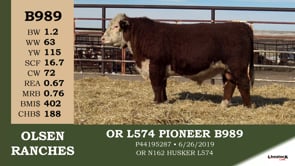 Lot #B989 - OR L574 PIONEER B989