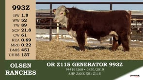 Lot #993Z - OR Z115 GENERATOR 993Z