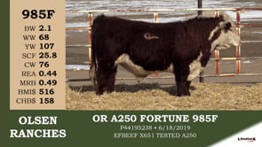 Lot #985F - OR A250 FORTUNE 985F
