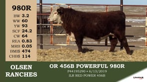 Lot #980R - OR 456B POWERFUL 980R
