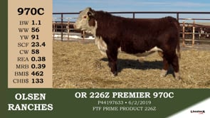 Lot #970C - OR 226Z PREMIER 970C