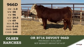 Lot #966D - OR B716 DEVOUT 966D