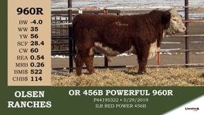 Lot #960R - OR 456B POWERFUL 960R