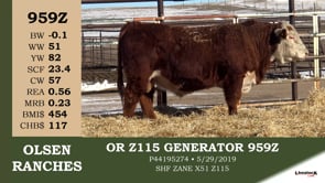 Lot #959Z - OR Z115 GENERATOR 959Z
