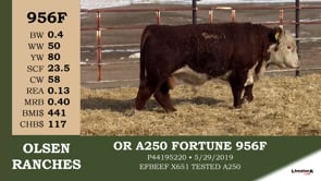 Lot #956F - OR A250 FORTUNE 956F