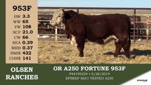 Lot #953F - OR A250 FORTUNE 953F