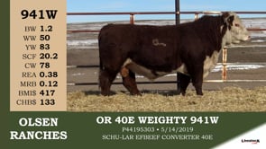 Lot #941W - OR 40E WEIGHTY 941W