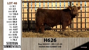 Lot #48 - H626