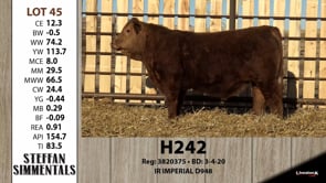 Lot #45 - H242