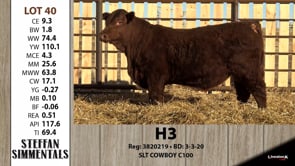 Lot #40 - H3