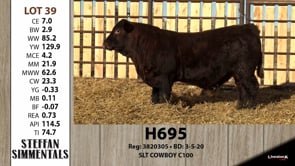 Lot #39 - H695