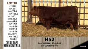 Lot #38 - H52