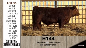 Lot #36 - H144
