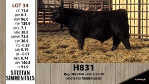 Lot #34 - H831