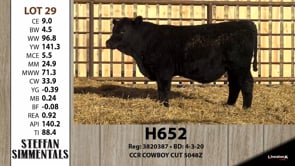 Lot #29 - H652
