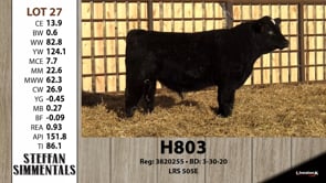 Lot #27 - H803
