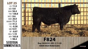 Lot #25 - F824