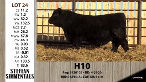 Lot #24 - H106