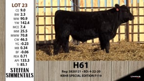 Lot #23 - H61