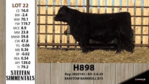 Lot #22 - H898