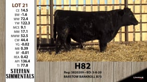 Lot #21 - H82