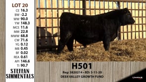 Lot #20 - H501